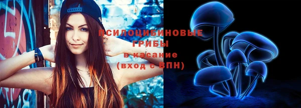 mdpv Вяземский