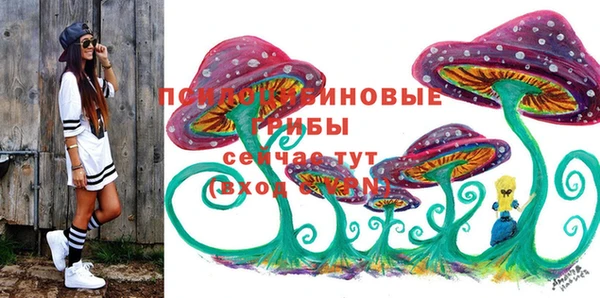 Альфа ПВП Строитель