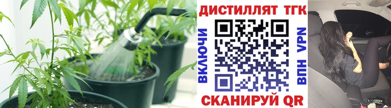 ТГК Wax  продажа наркотиков  Павлово 