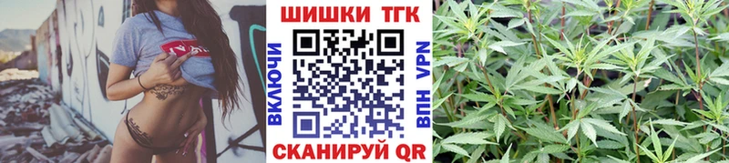 Каннабис планчик Павлово